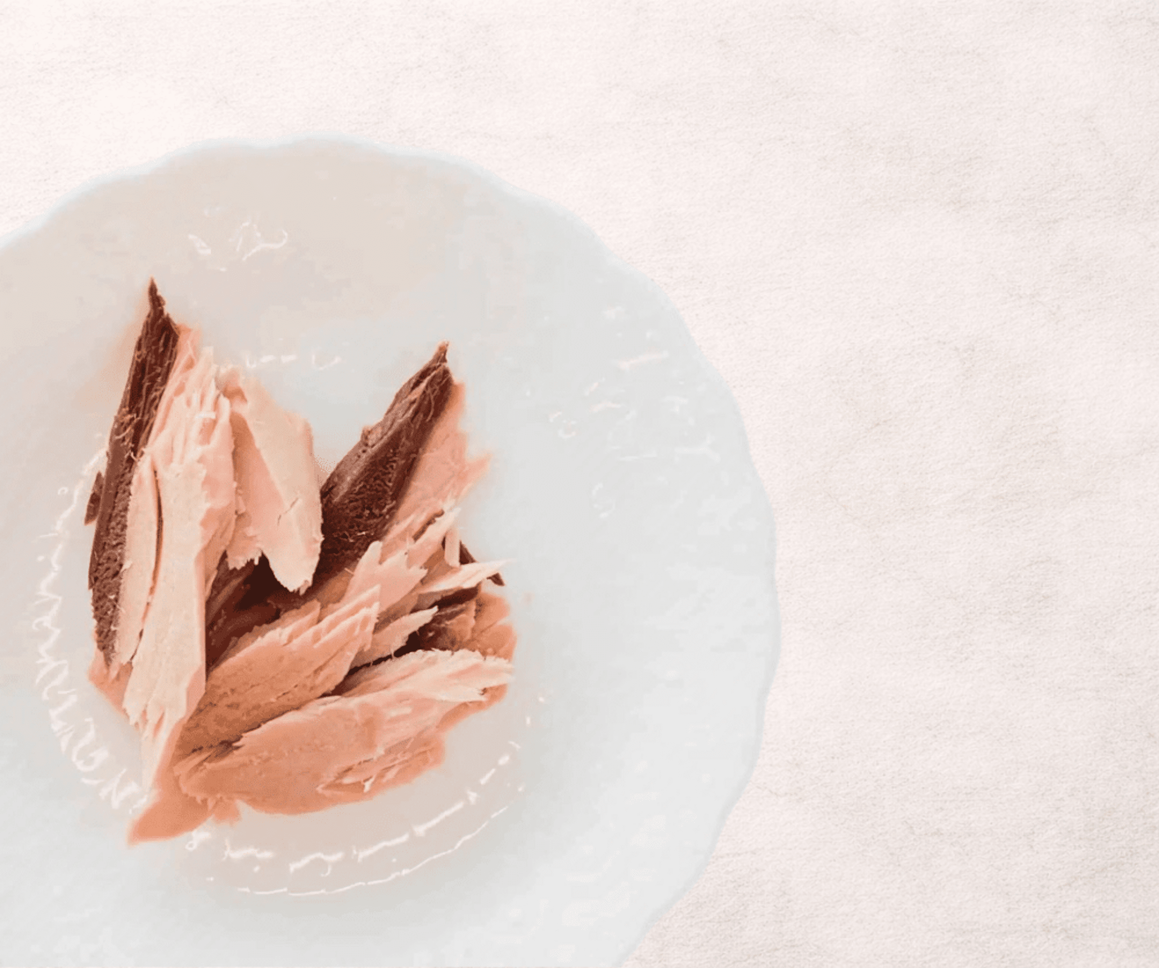 Filete de Atún con Caldo de Calamar para Gatos - 2