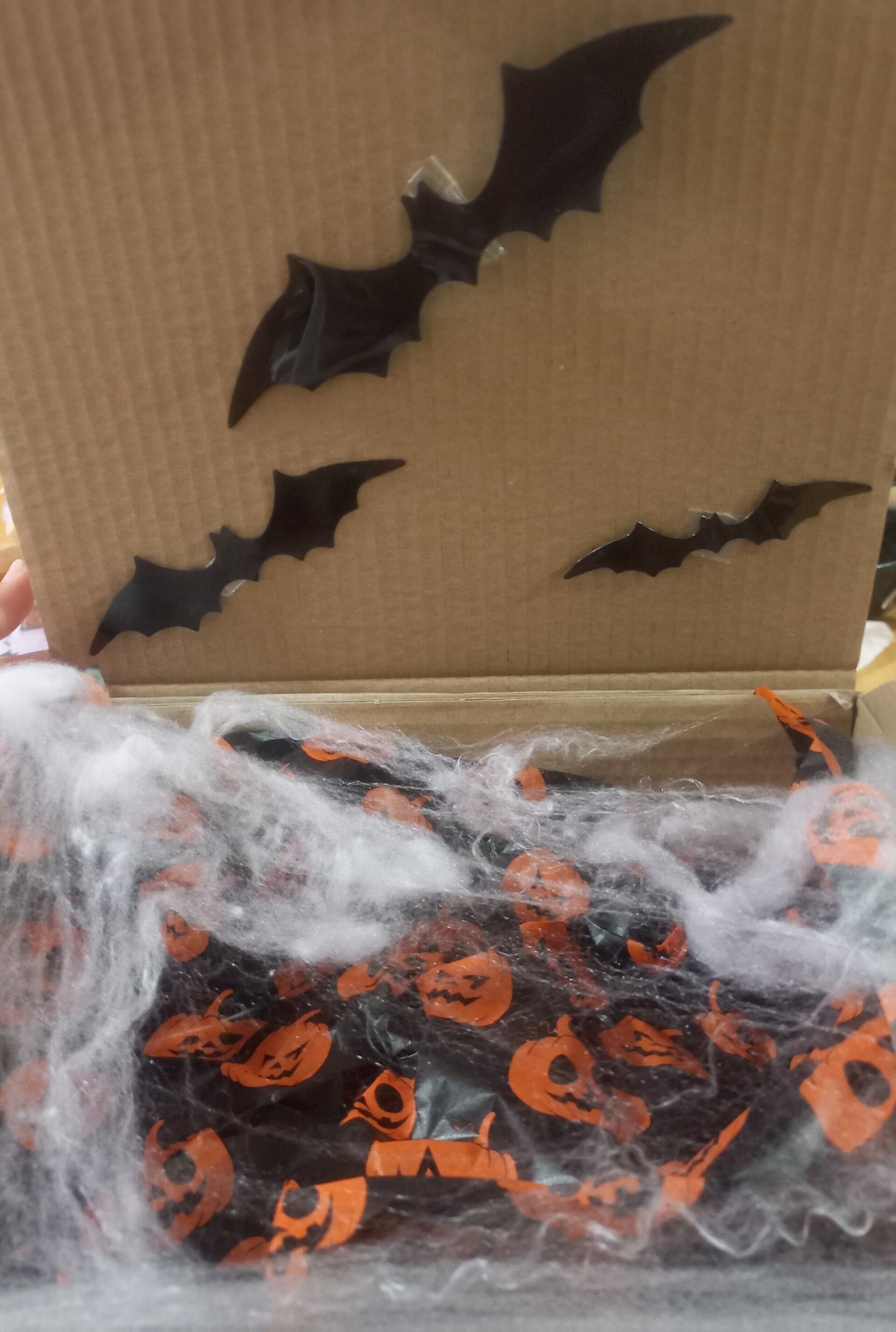 Cajitas  halloween perro y gato - 10