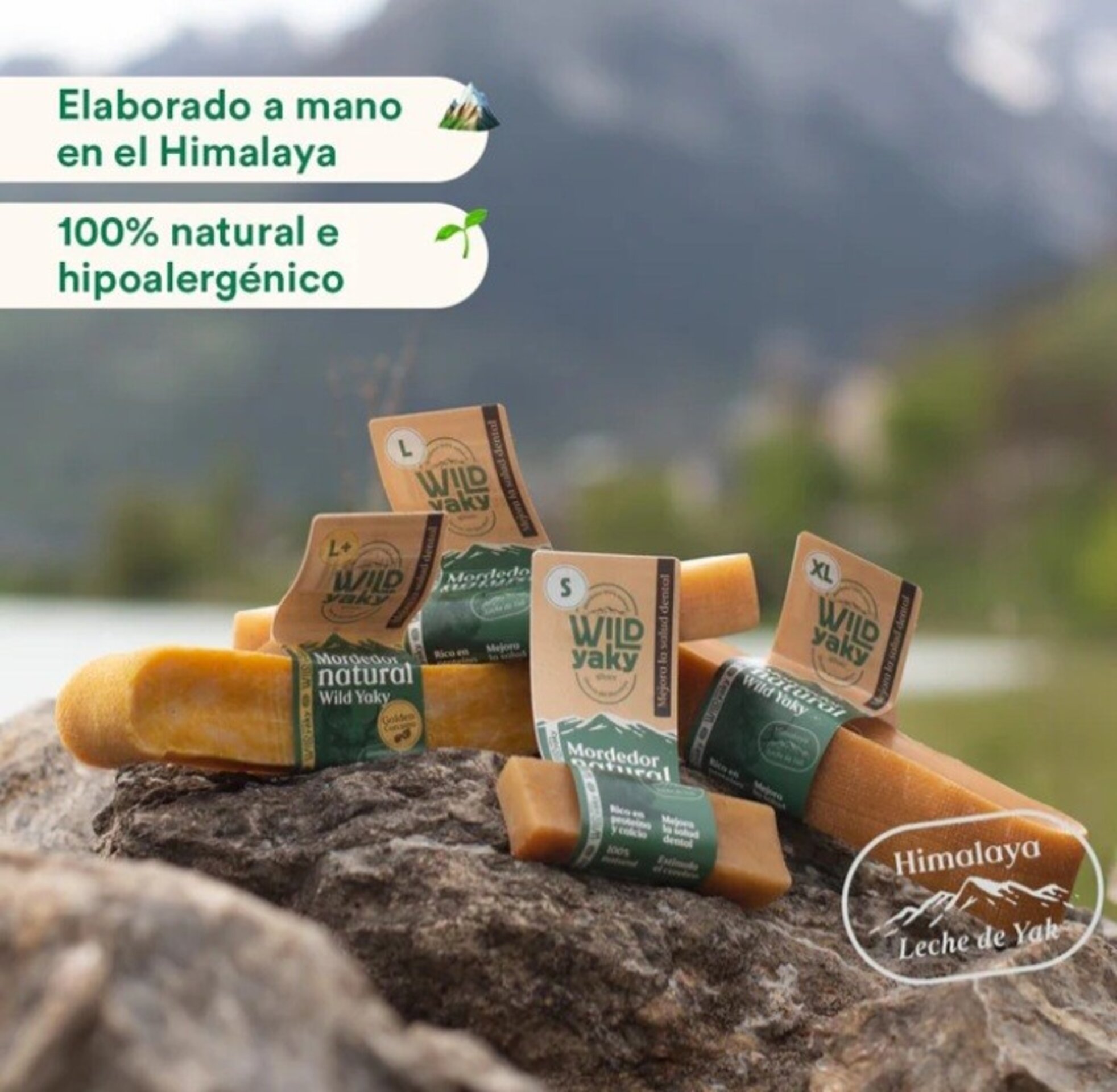 Wild Yaky Golden – Barrita de Leche de Yak del Himalaya con Cúrcuma - 2
